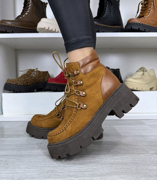 NOAH BOTIN CAMELL/ TACO 5*