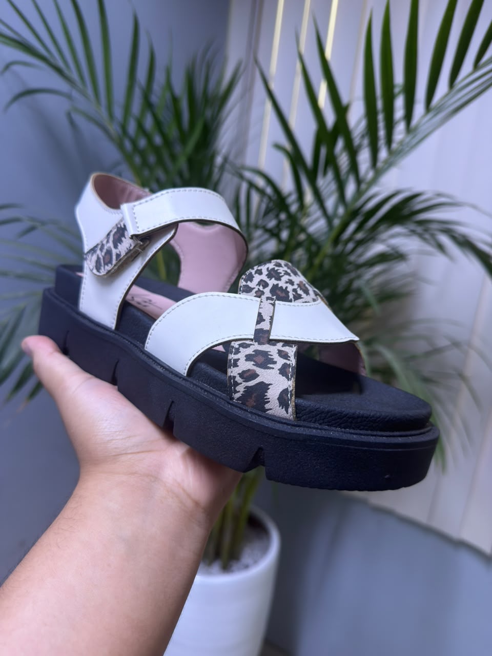 EMELY BEIGE PRINT*A*