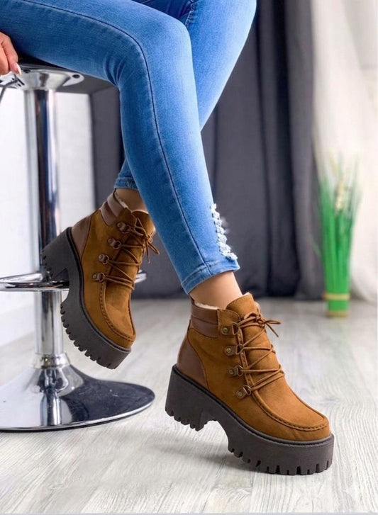 NOAH BOTIN CAMELL/ TACO 7*